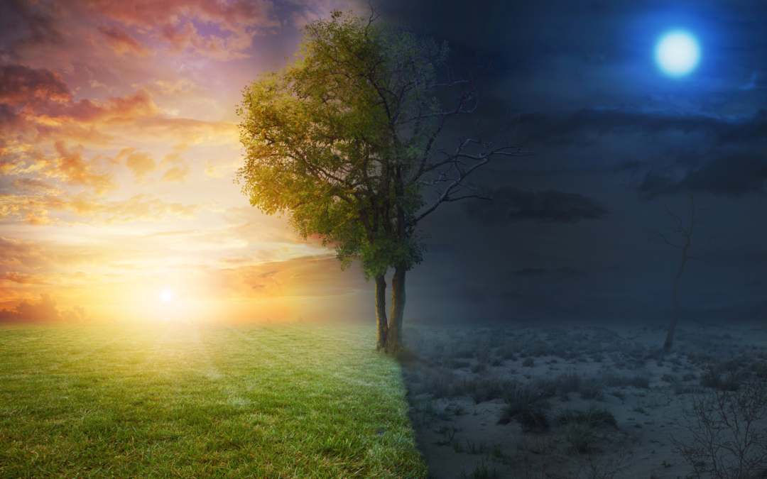 9 Advantages of a Positive Attitude